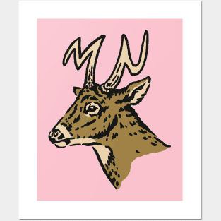 Deer Head Posters and Art